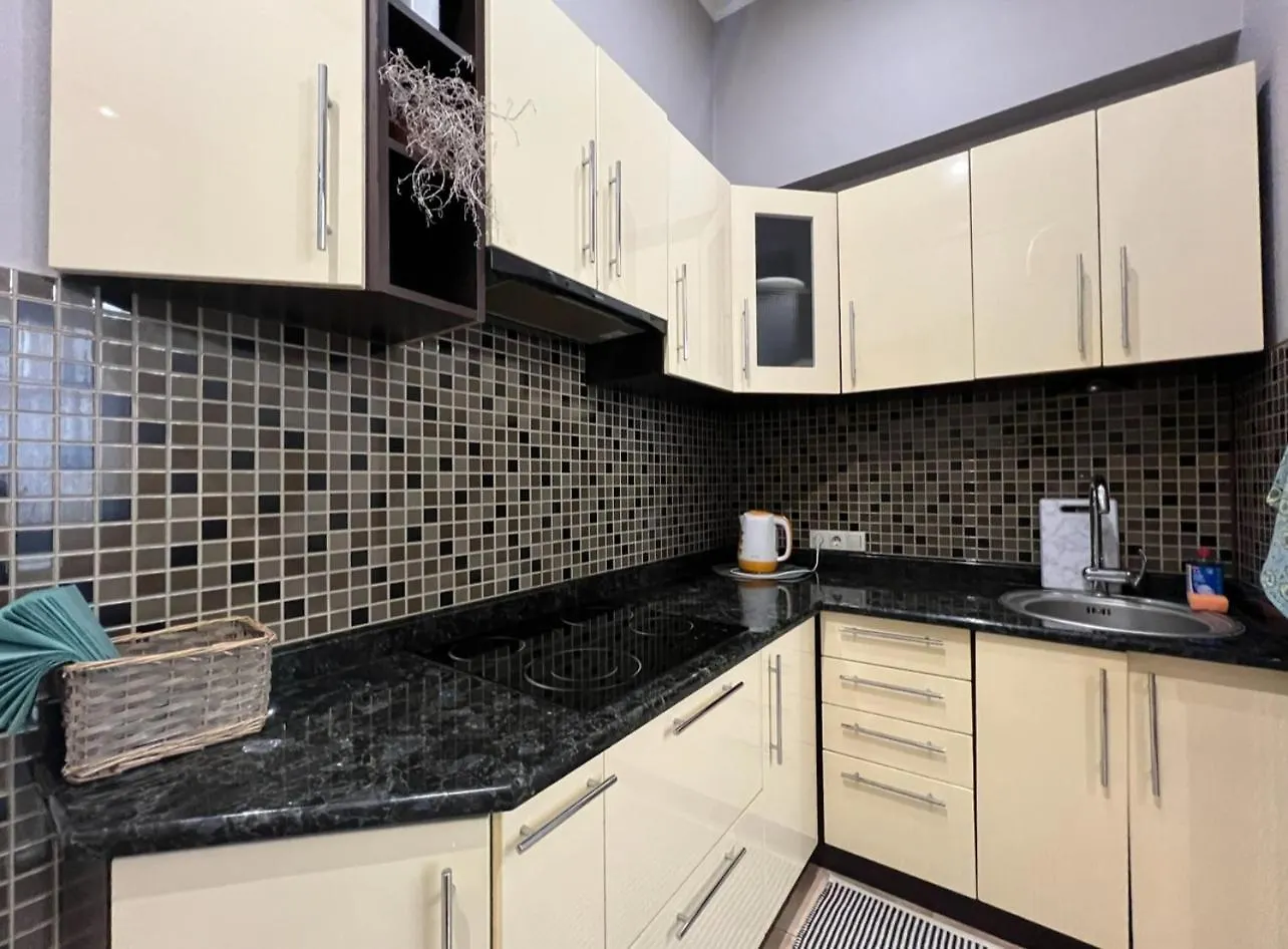 Apartment Lesya Kurbasa Lviv 0*,